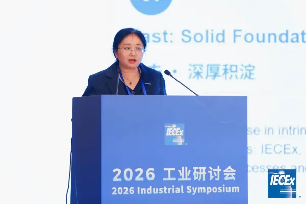 2026-iecex-annual-meeting-growing-together-over-two-decades-5.png